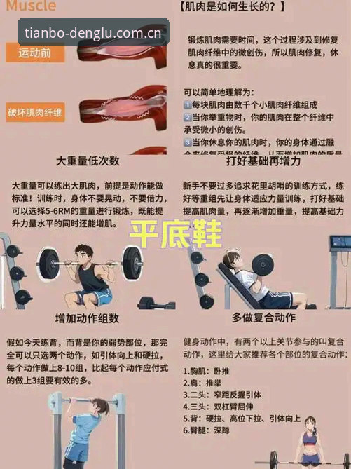 天博体育平台使用完整实用指南：从入门到解决常见问题必备知识